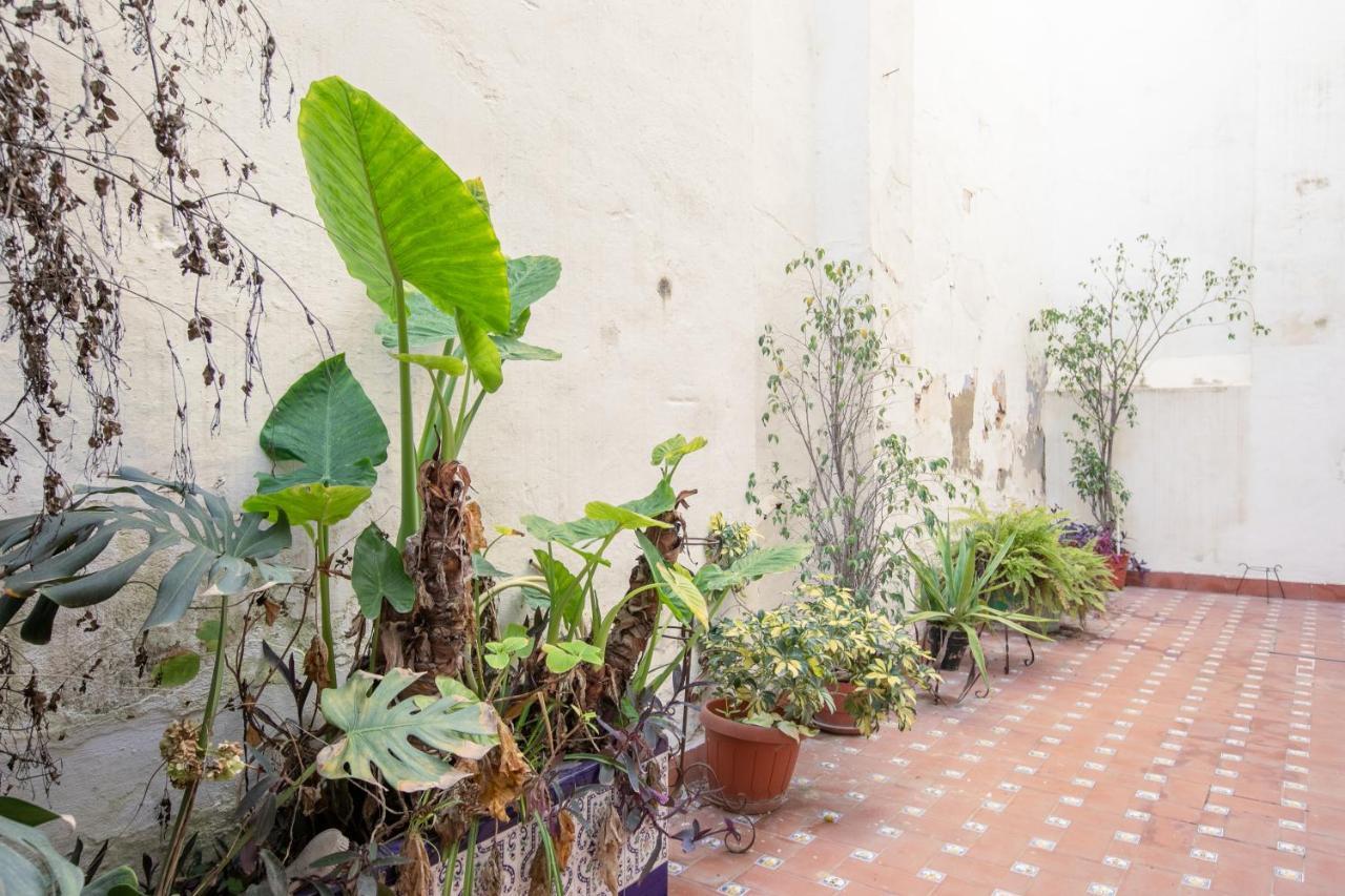 San Pablo Premium Suites Appartement